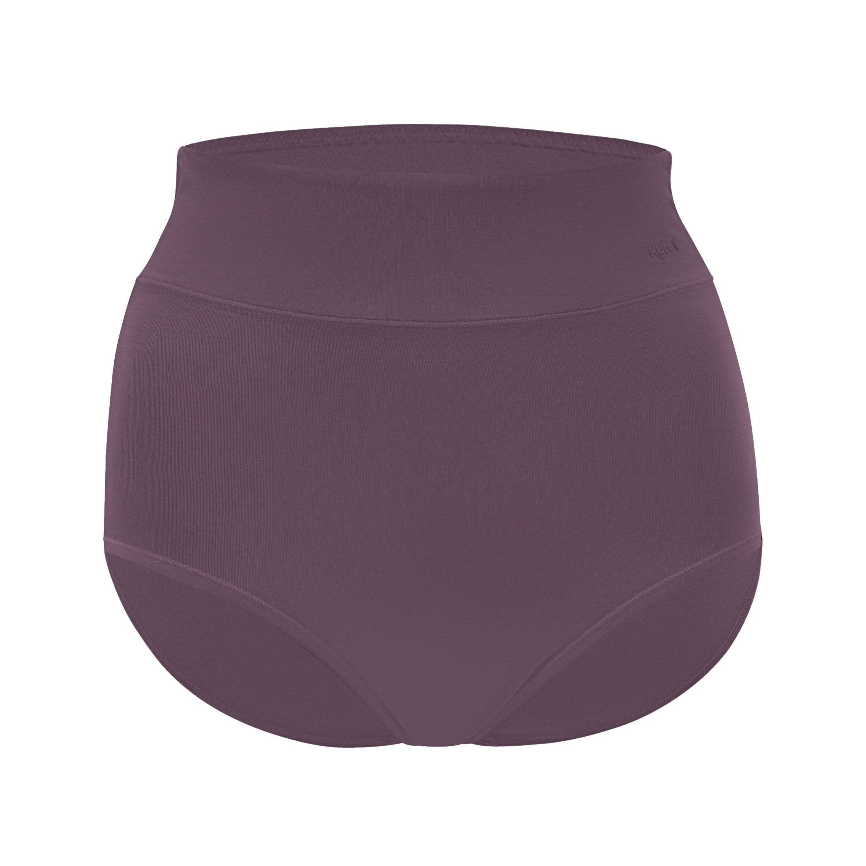 Women's High-Waisted Brief in Currant - Image 2