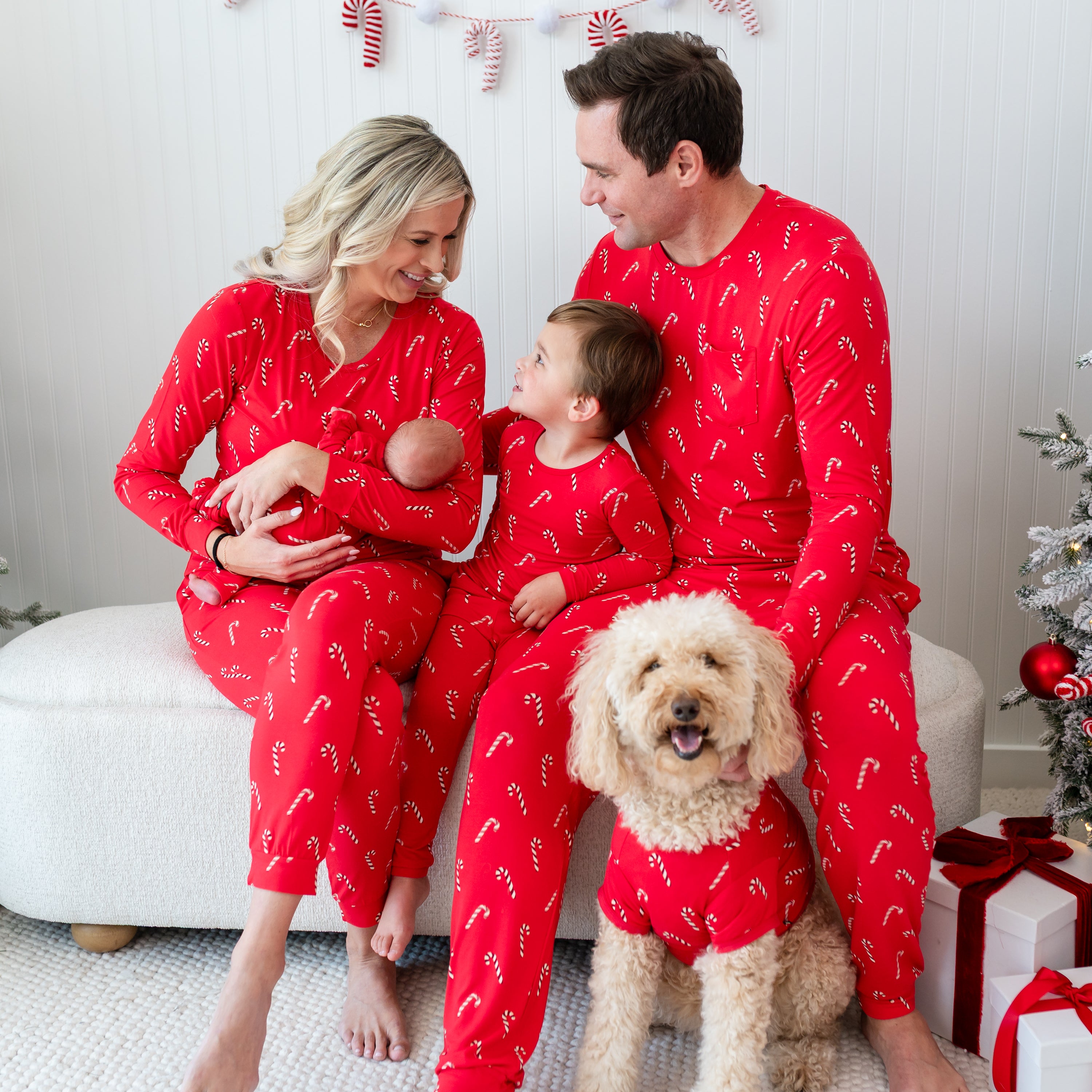 Dog Tee in Candy Cane - Image 3