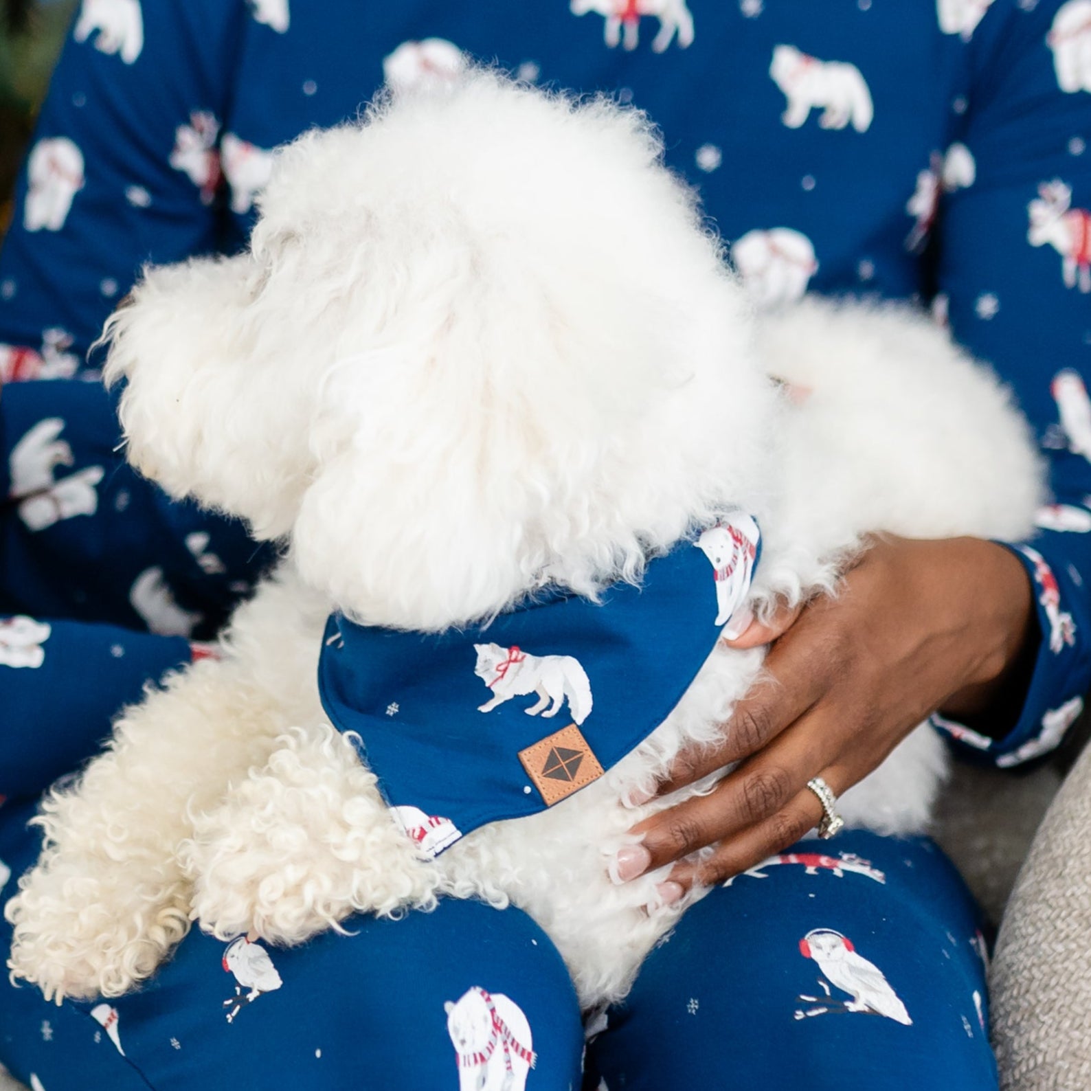 Dog Bandana in Frosty Friends