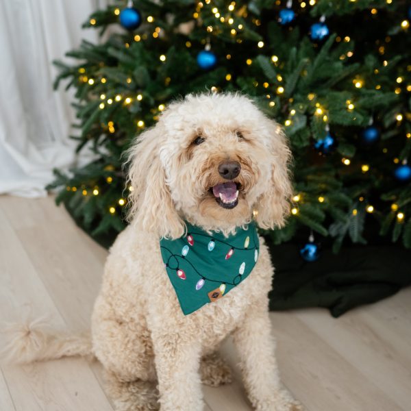Dog Bandana in Merry and Bright
