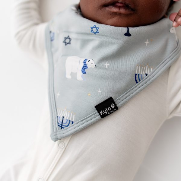 Bib in Polar Lights