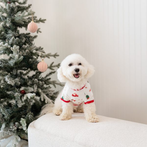 Dog Tee in Santa Sleigh