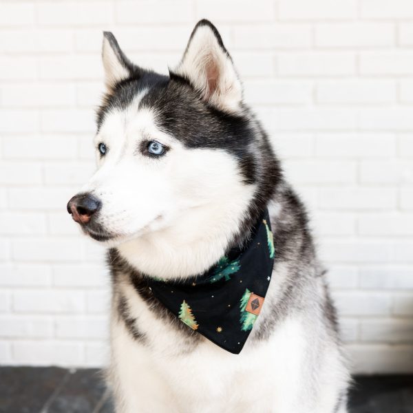 Dog Bandana in Twinkle Tree