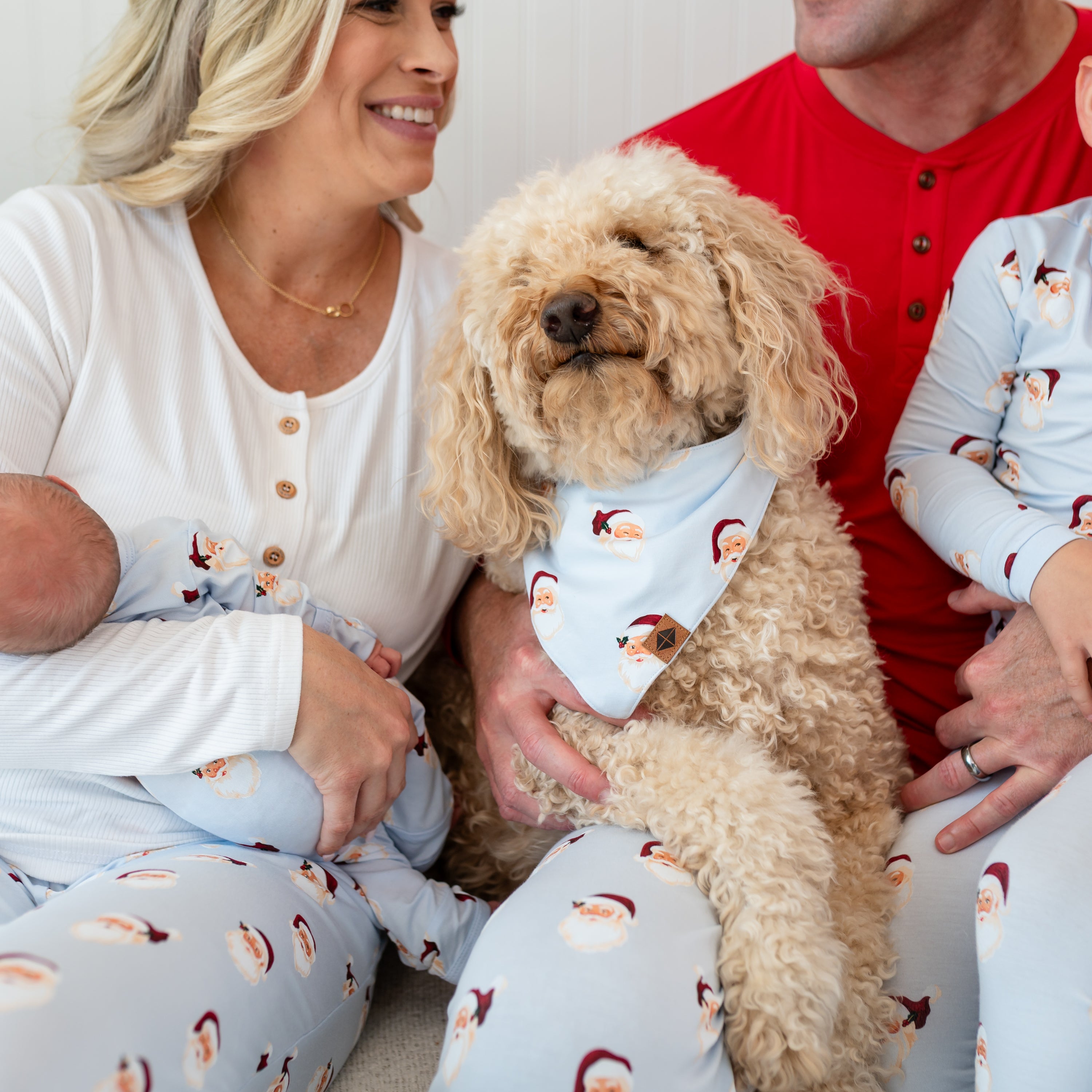 Dog Bandana in Vintage Santa - Image 3